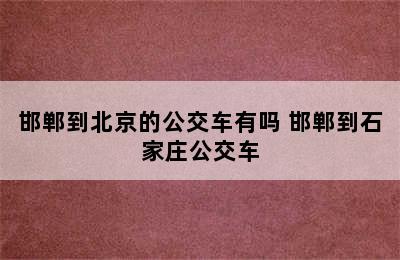 邯郸到北京的公交车有吗 邯郸到石家庄公交车